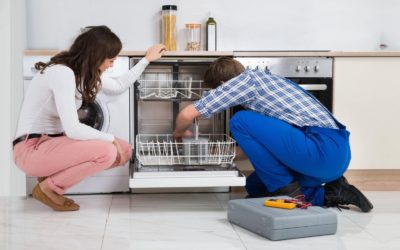 Ignoring Dishwasher Maintenance